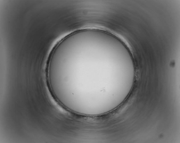 X0000101710995200807101404