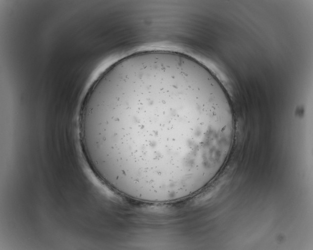X0000101710998200807101404