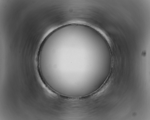 X0000101710999200807101404