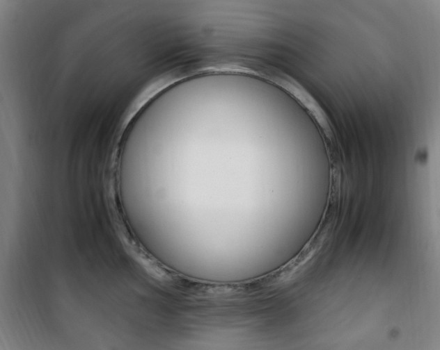 X0000101711002200807101404