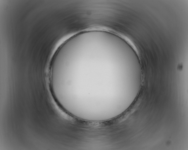 X0000101711003200807101404