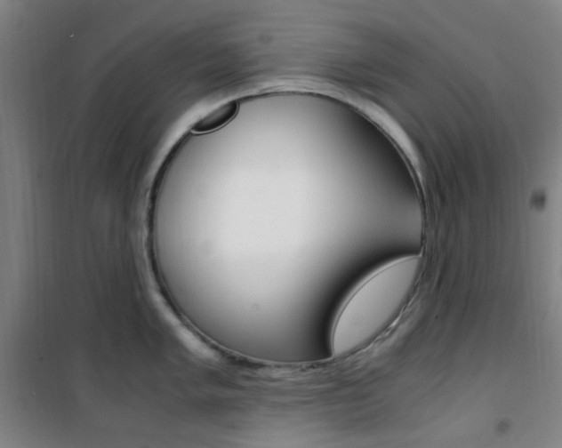 X0000101711005200807101404
