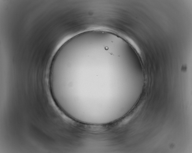 X0000101711007200807101404