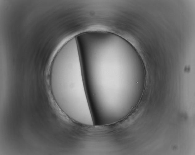 X0000101711008200807101404