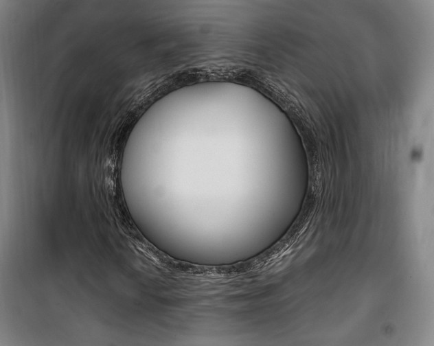 X0000101711010200807101403