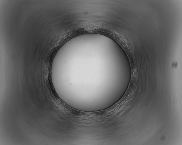 X0000101711012200807101403