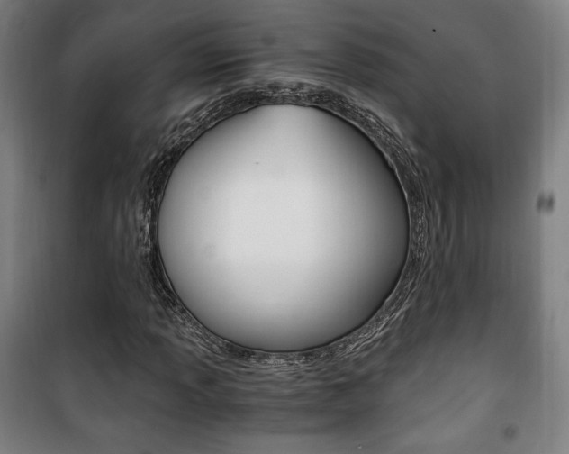 X0000101711013200807101403