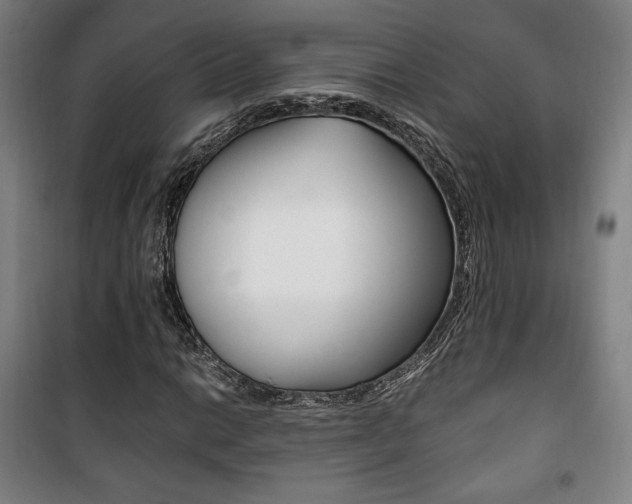 X0000101711014200807101403