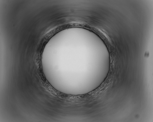 X0000101711015200807101403