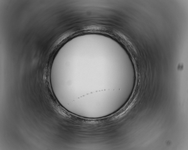 X0000101711017200807101403