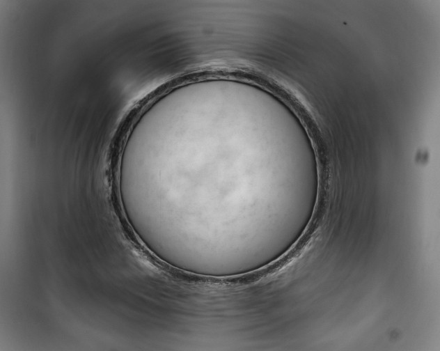 X0000101711018200807101403