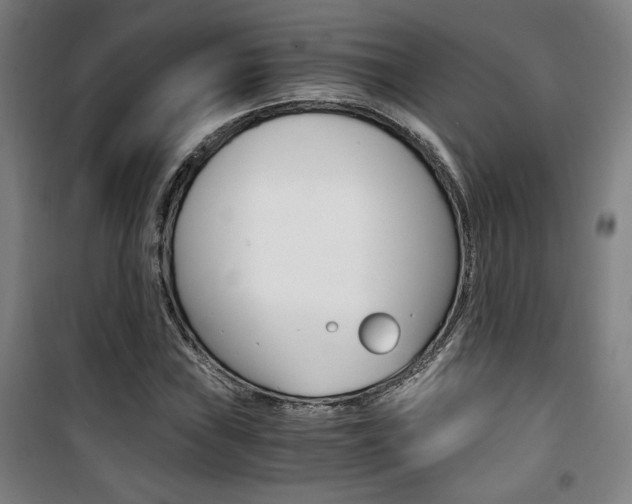 X0000101711019200807101404