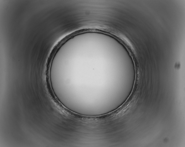 X0000101711020200807101404