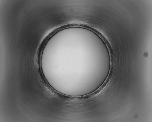 X0000101711022200807101404
