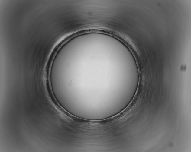 X0000101711024200807101404