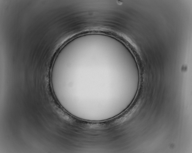 X0000101711025200807101404