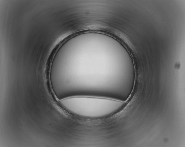 X0000101711026200807101404
