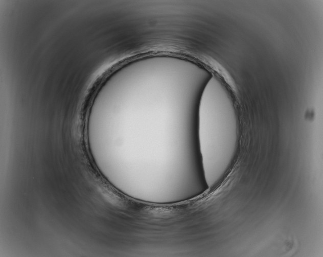 X0000101711027200807101404
