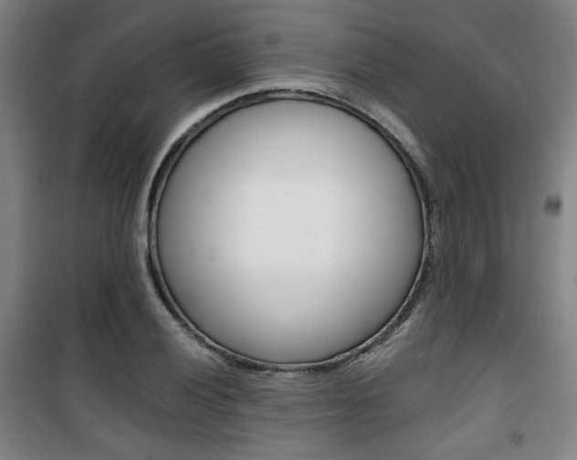 X0000101711028200807101404