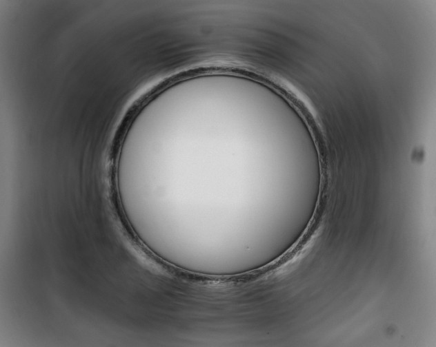 X0000101711029200807101404