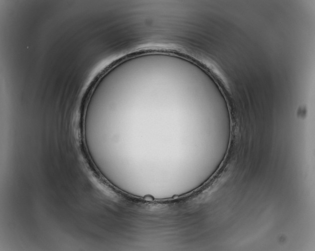 X0000101711030200807101404