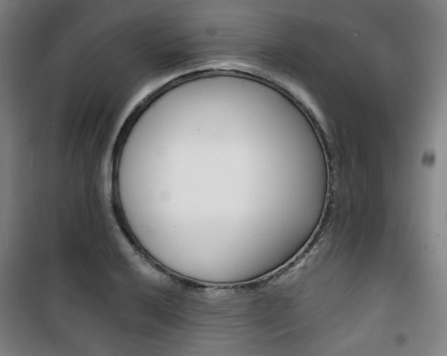 X0000101711032200807101404