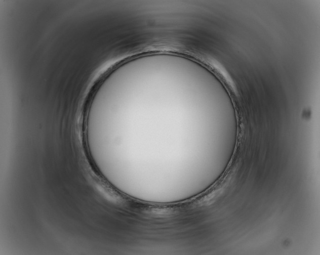 X0000101711035200807101404