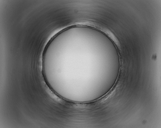 X0000101711036200807101404