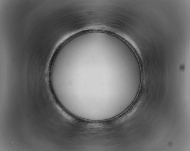 X0000101711037200807101404