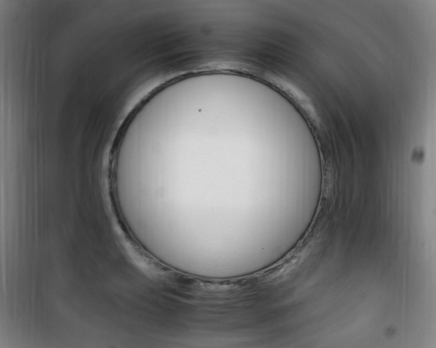 X0000101711039200807101404