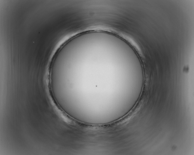 X0000101711040200807101404
