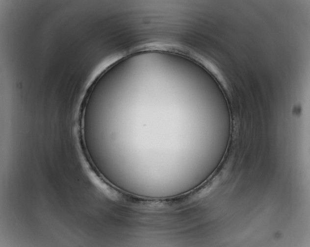 X0000101711042200807101404