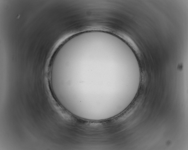 X0000101711043200807101404