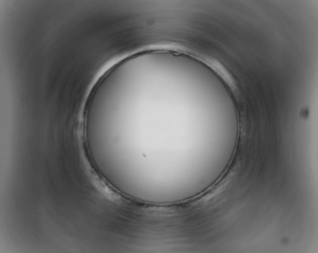 X0000101711044200807101404
