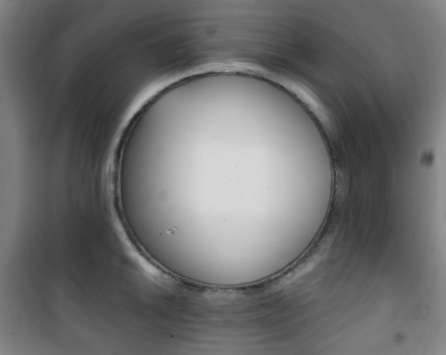 X0000101711046200807101404