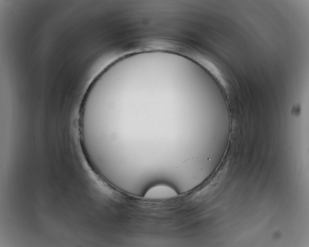 X0000101711047200807101404