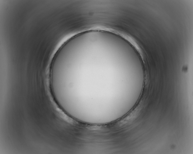 X0000101711048200807101404
