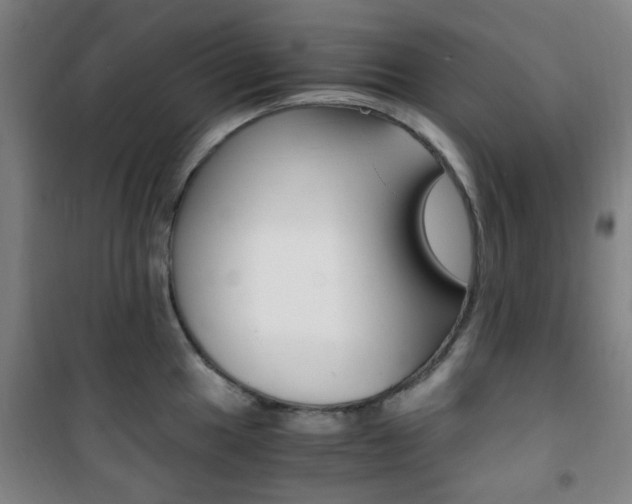 X0000101711049200807101404