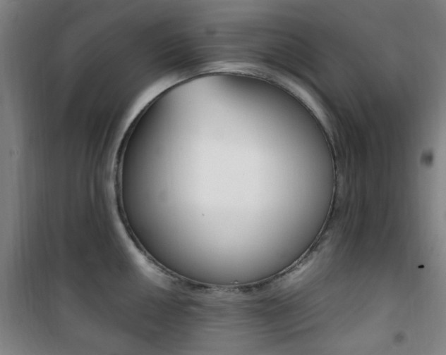 X0000101711050200807101404