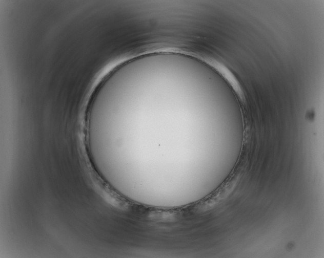 X0000101711051200807101404