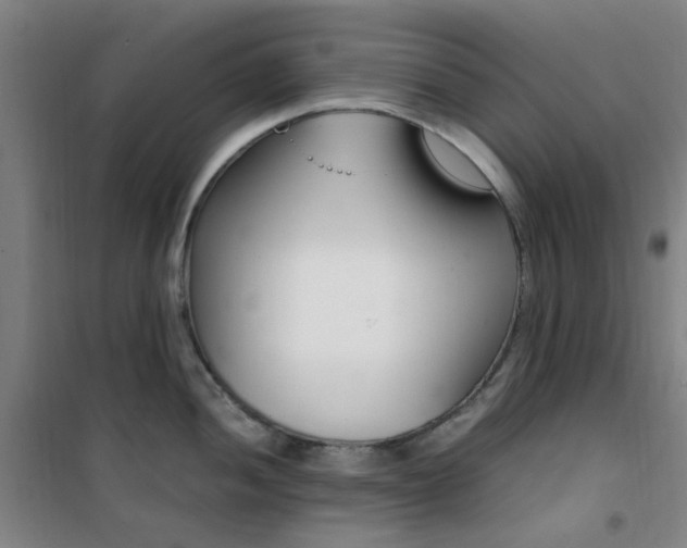 X0000101711052200807101404