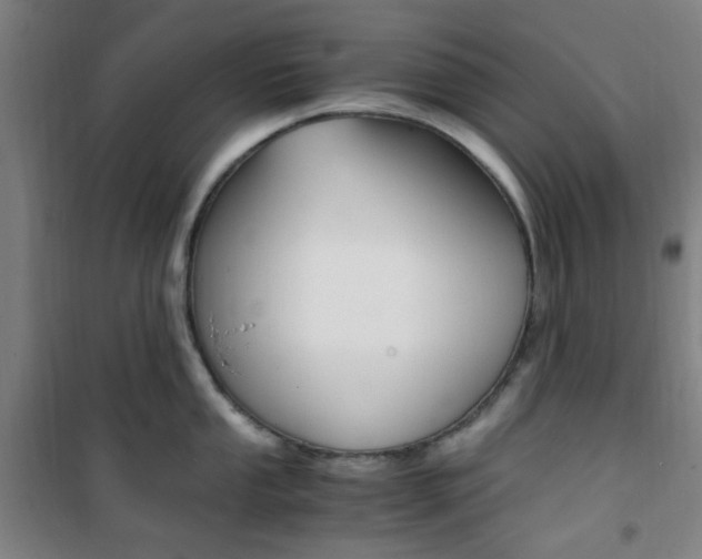 X0000101711053200807101404