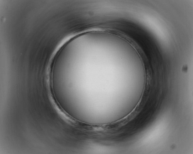 X0000101711054200807101404