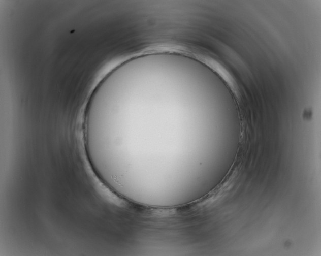 X0000101711055200807101404