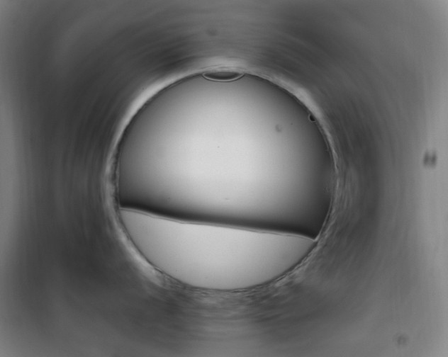 X0000101711056200807101404