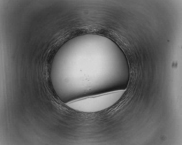 X0000101711058200807101403