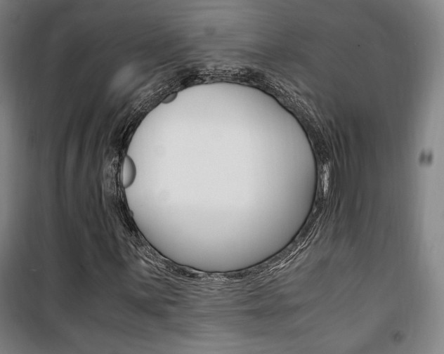 X0000101711059200807101403