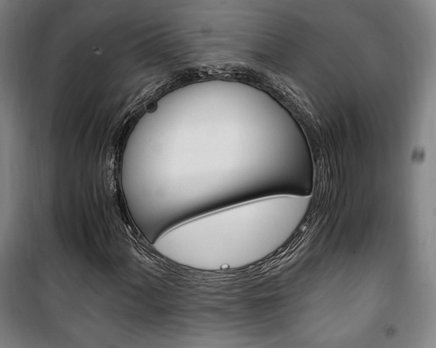 X0000101711060200807101403