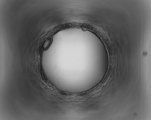 X0000101711061200807101403