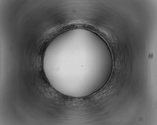 X0000101711062200807101403